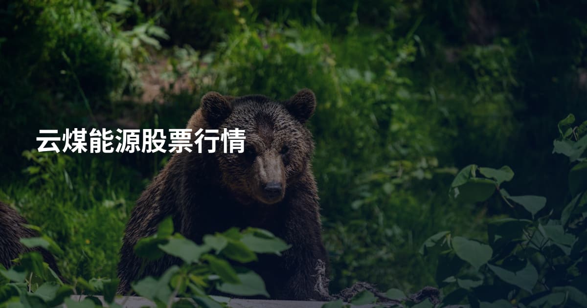 云煤能源股票行情