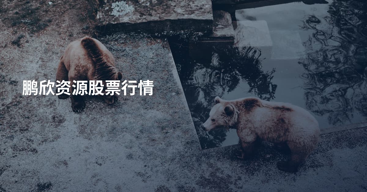 鹏欣资源股票行情