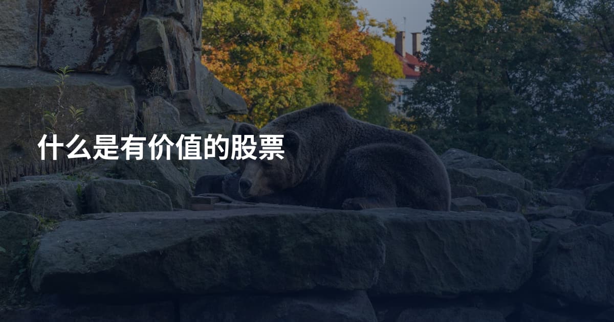 什么是有价值的股票