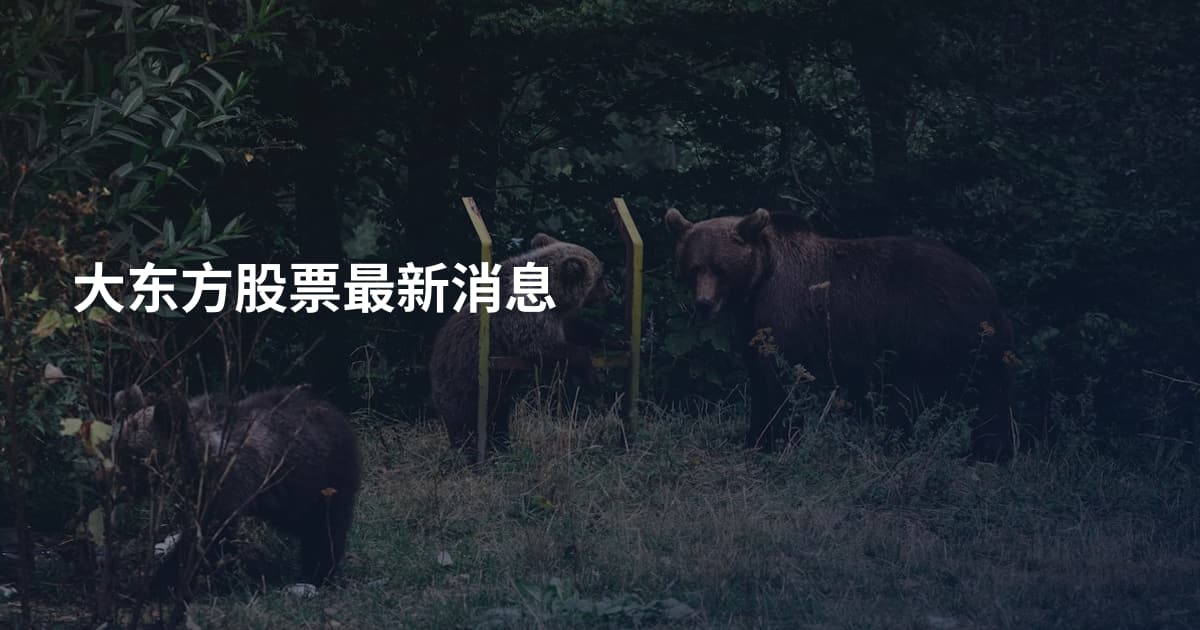 大东方股票最新消息