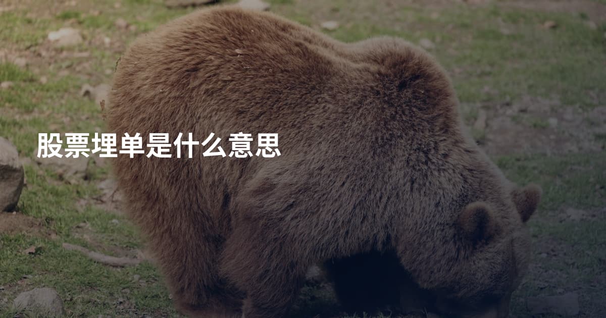股票埋单是什么意思