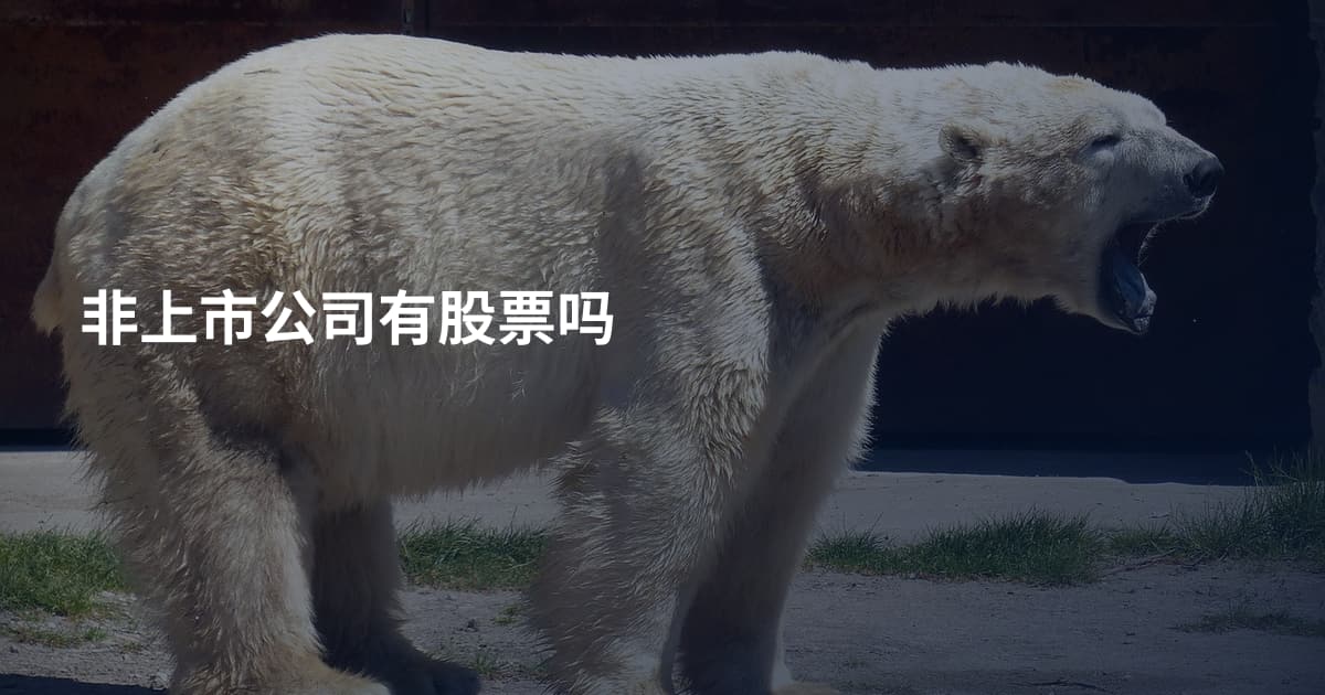非上市公司有股票吗