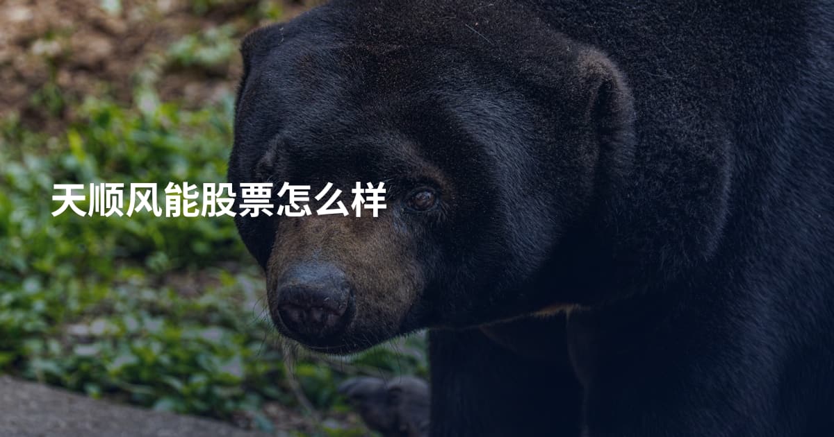 天顺风能股票怎么样