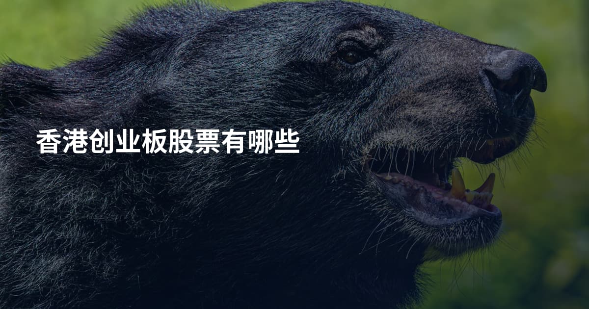香港创业板股票有哪些