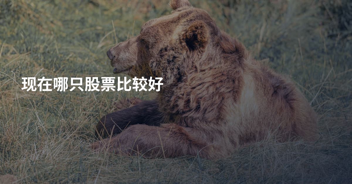 现在哪只股票比较好