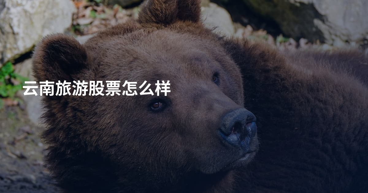 云南旅游股票怎么样