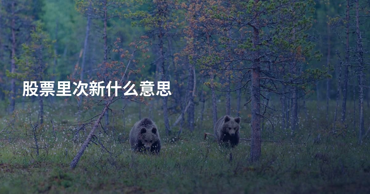 股票里次新什么意思