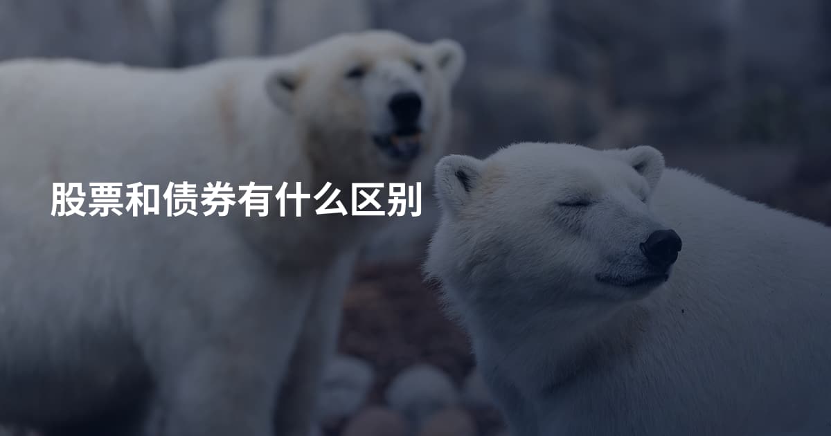 股票和债券有什么区别