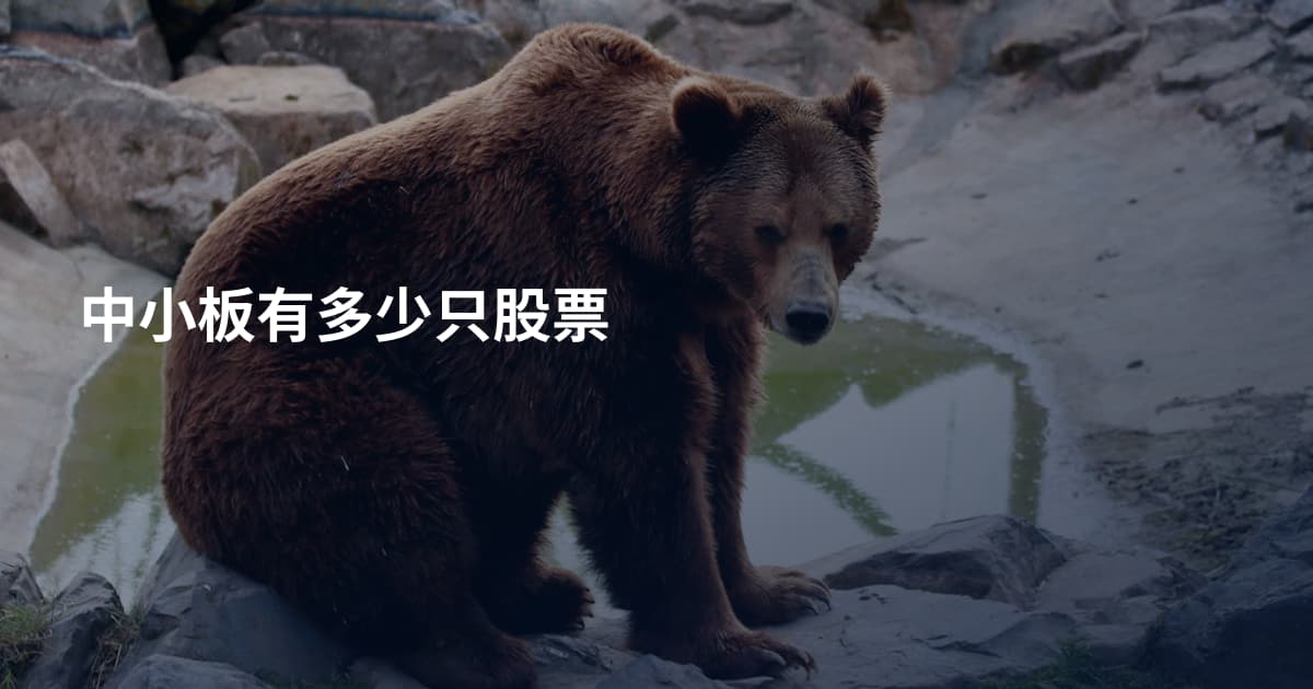 中小板有多少只股票