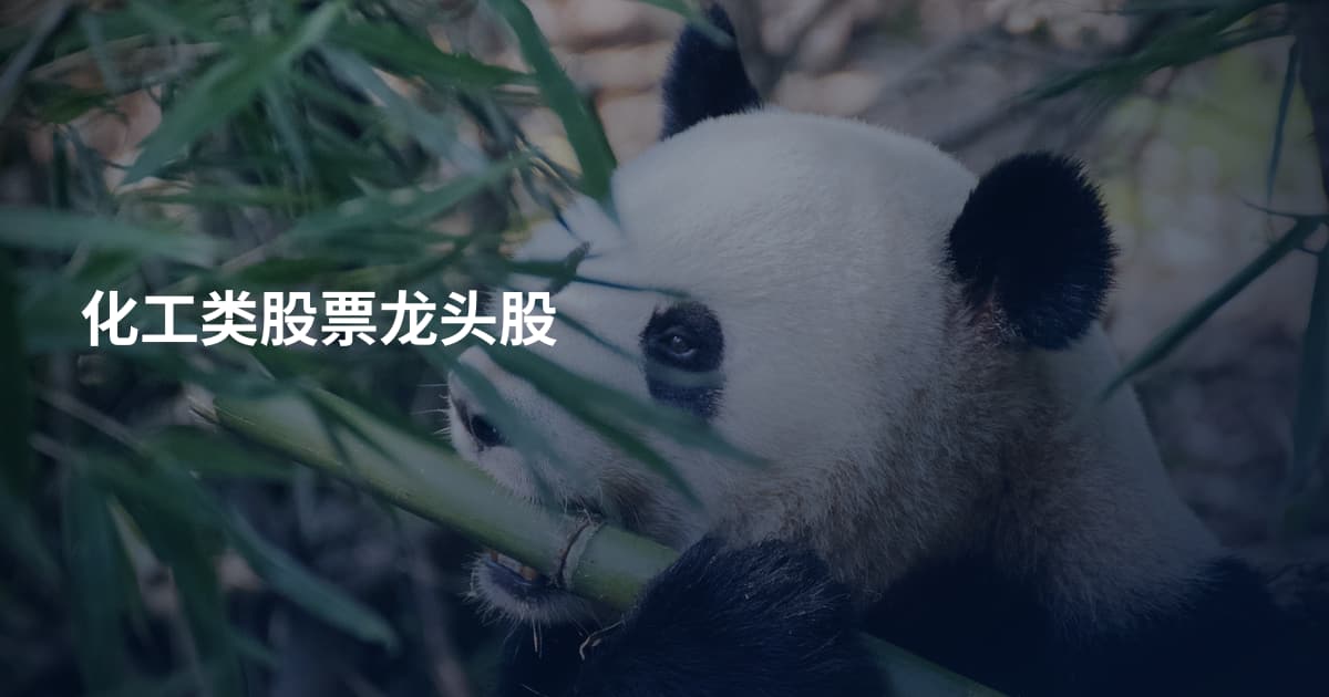 化工类股票龙头股
