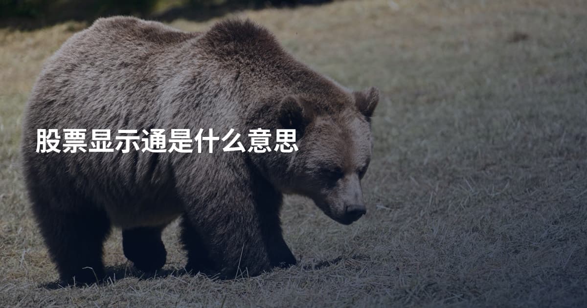 股票显示通是什么意思