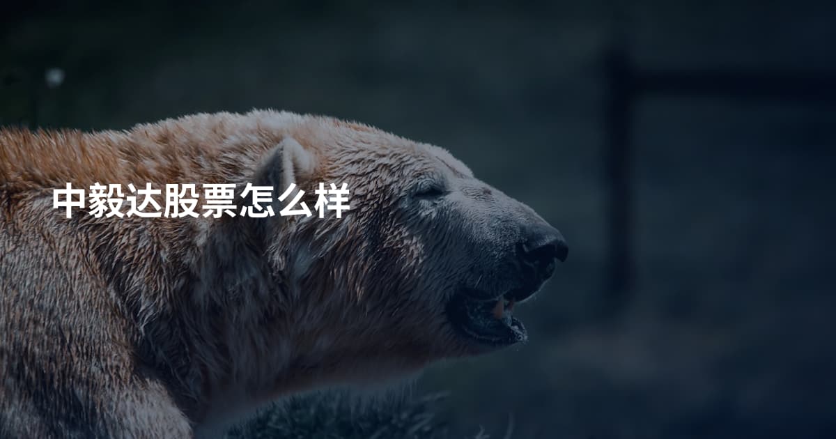 中毅达股票怎么样