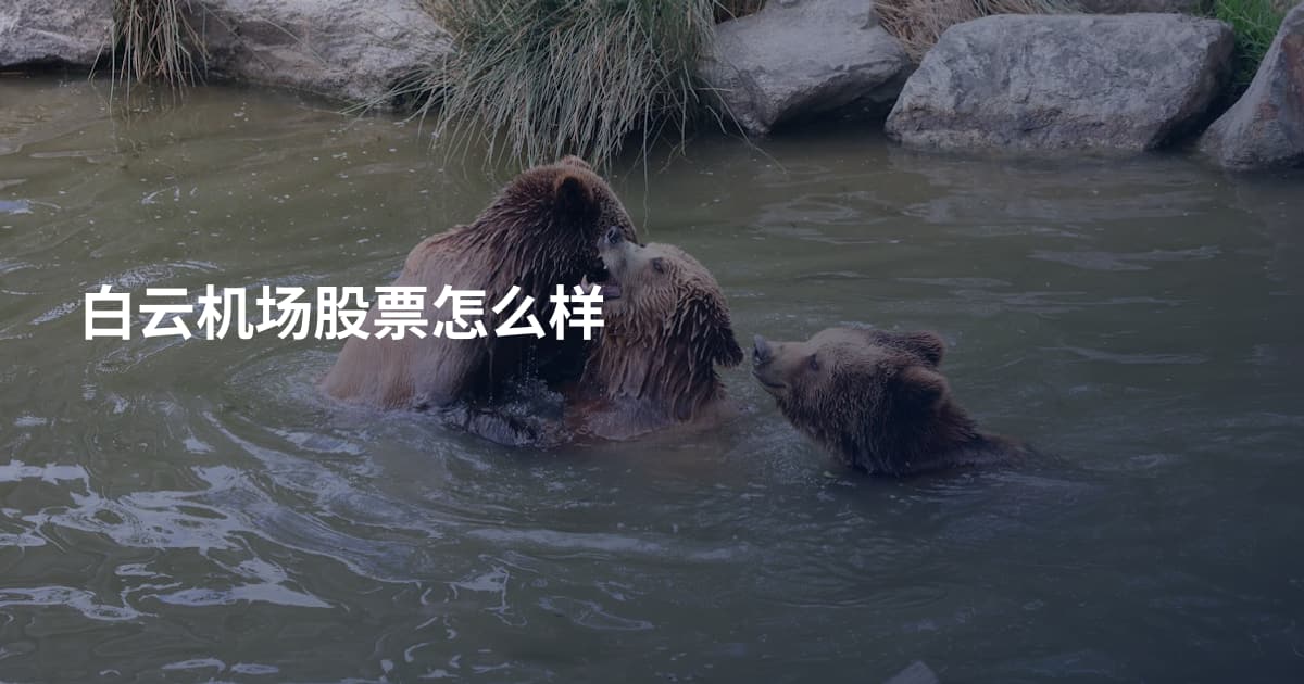 白云机场股票怎么样