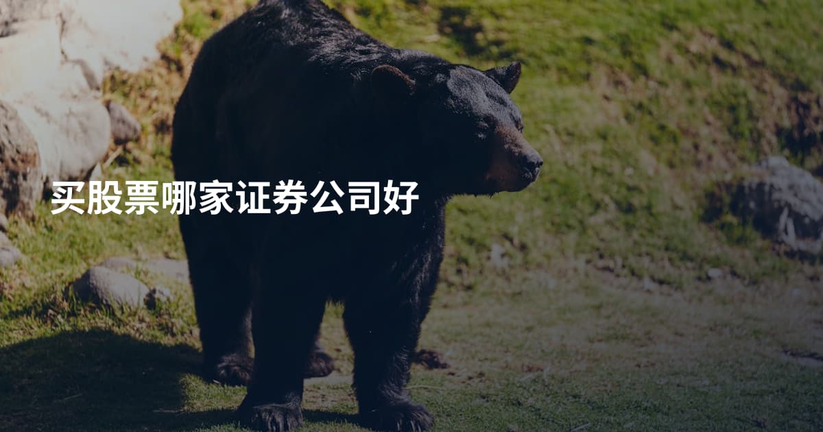 买股票哪家证券公司好