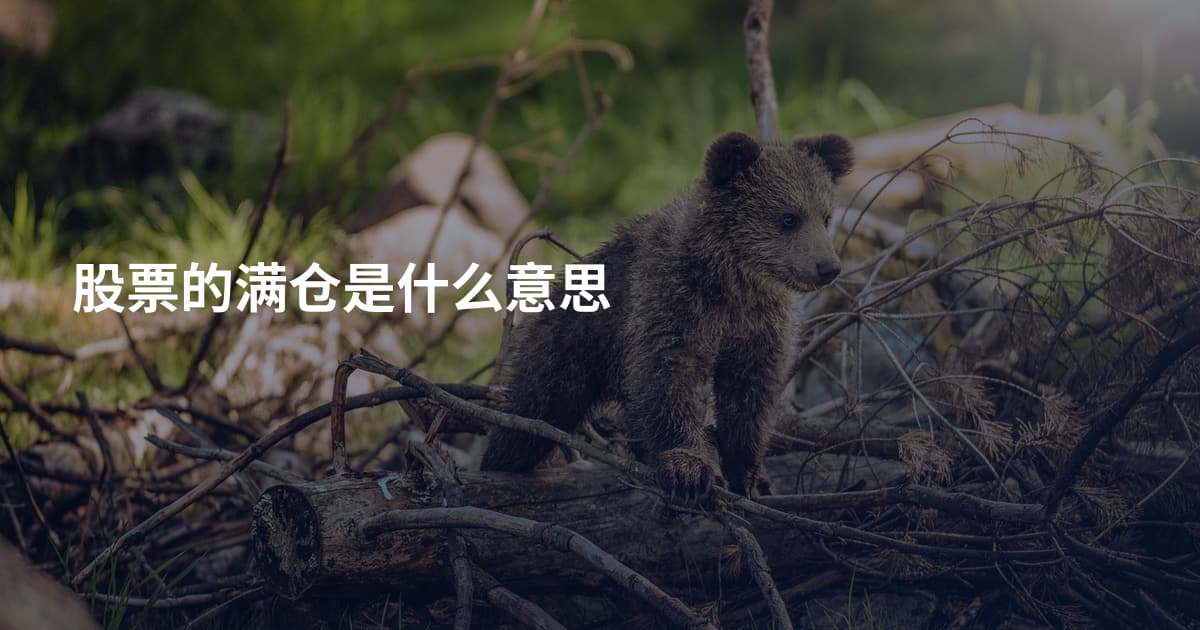 股票的满仓是什么意思