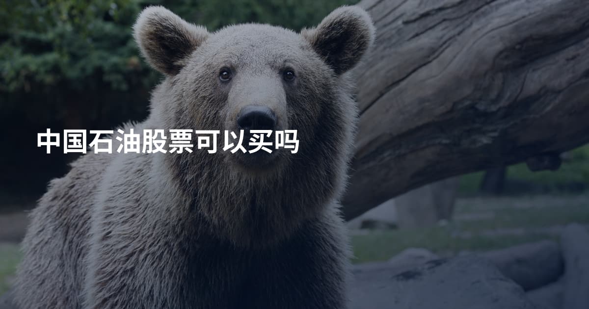 中国石油股票可以买吗
