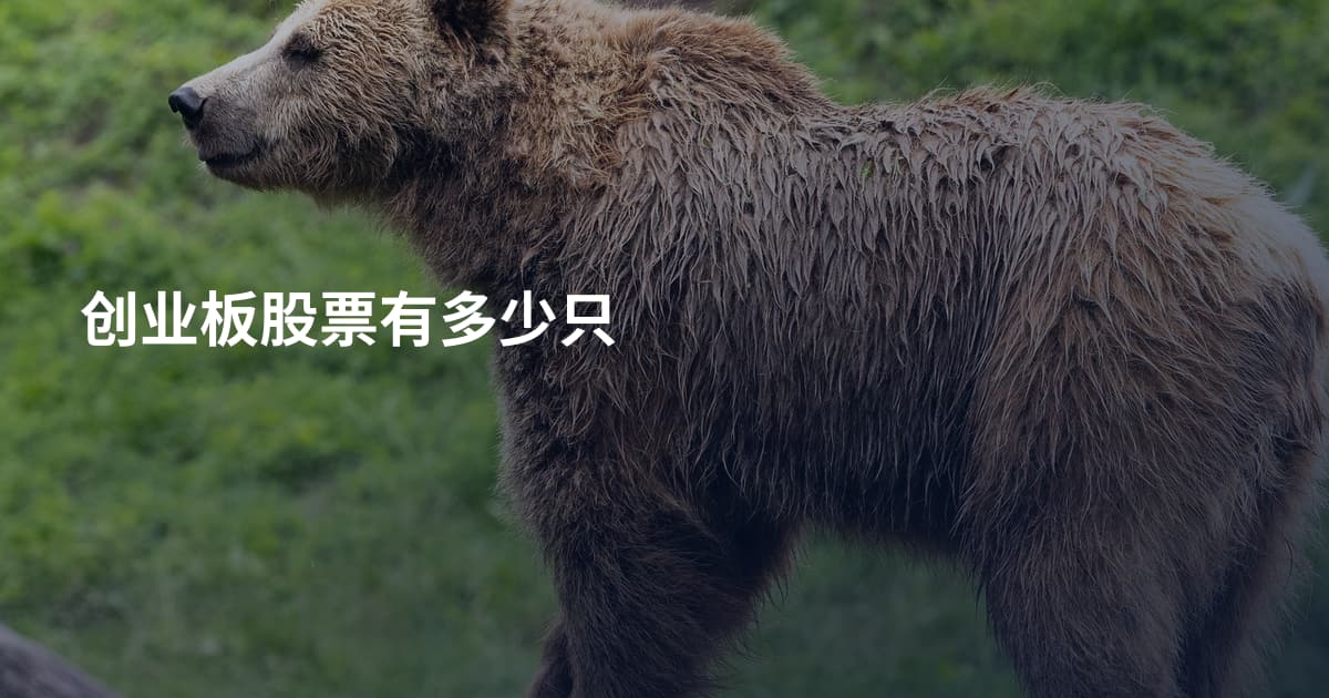 创业板股票有多少只