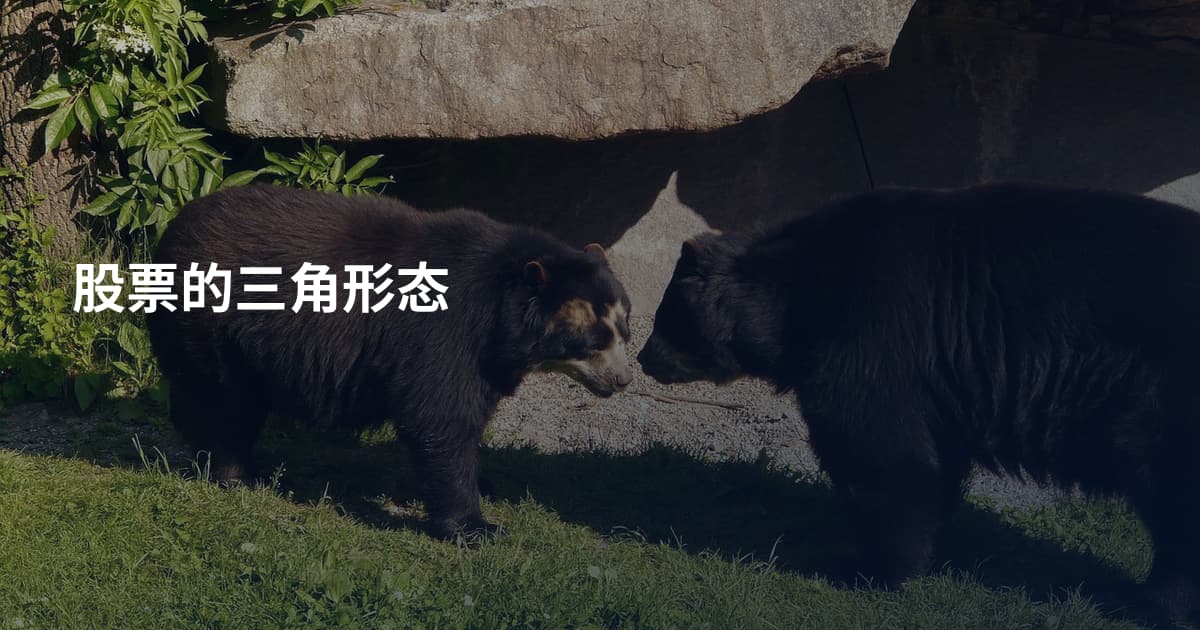 股票的三角形态