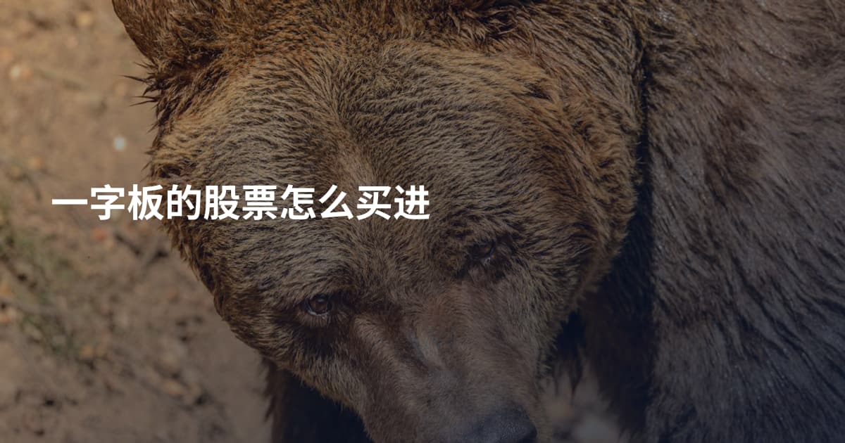 一字板的股票怎么买进