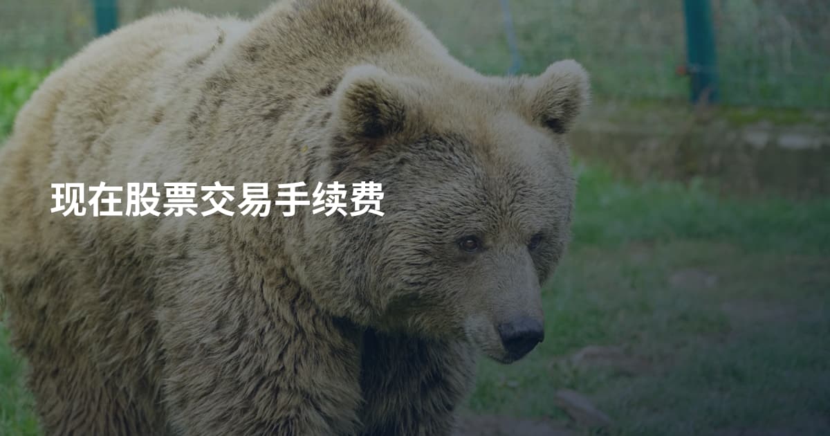 现在股票交易手续费