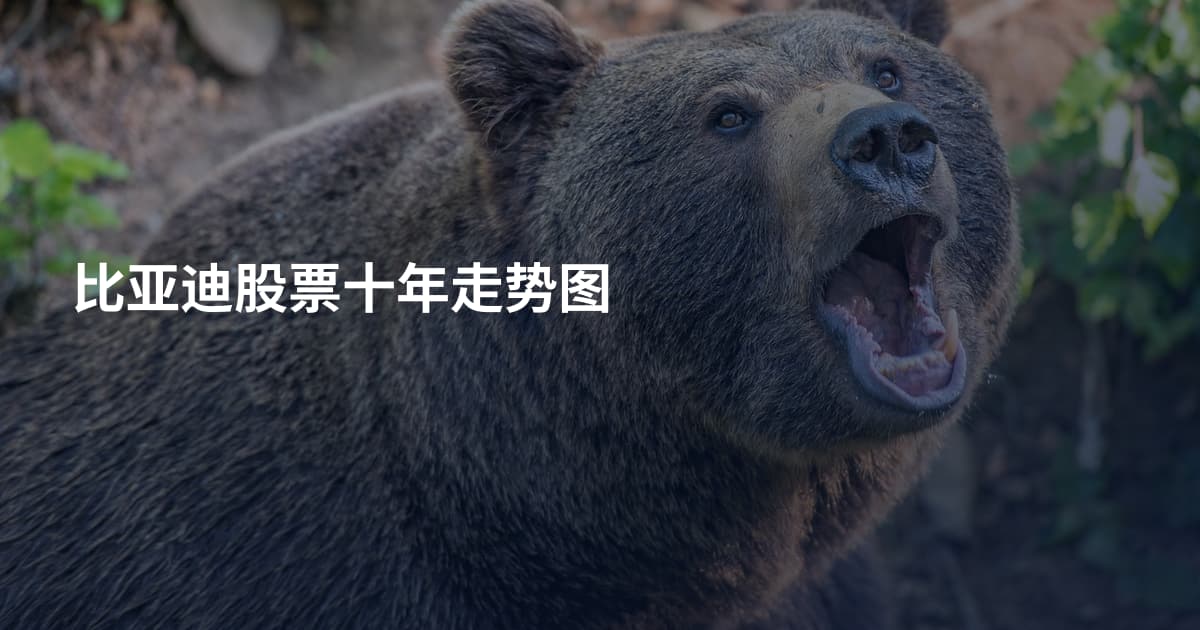 比亚迪股票十年走势图