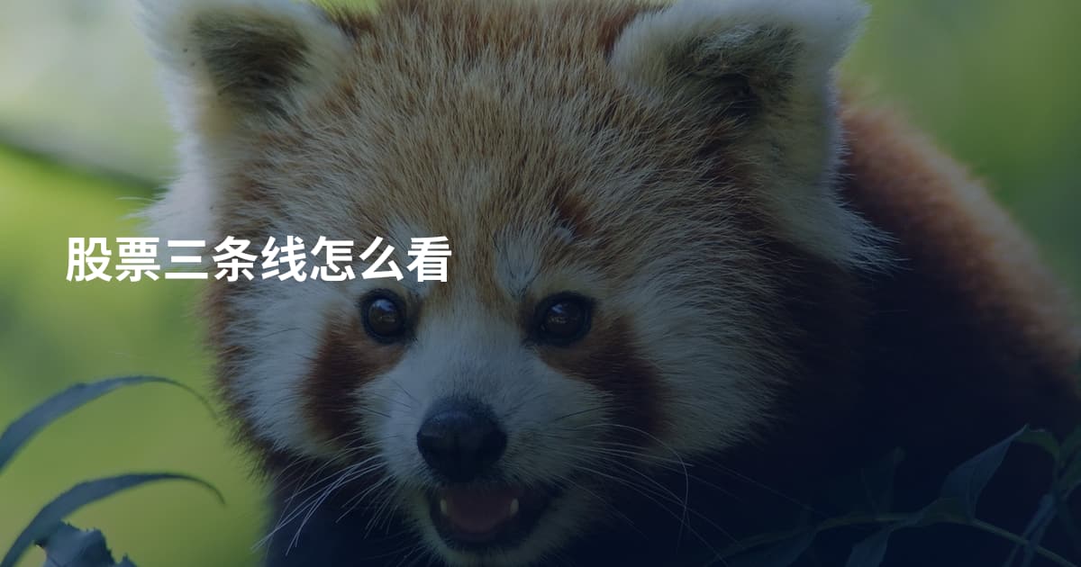 股票三条线怎么看