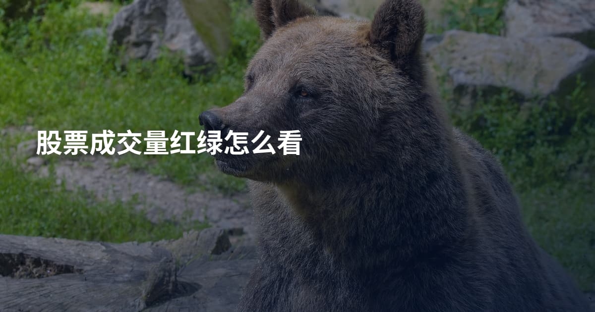 股票成交量红绿怎么看