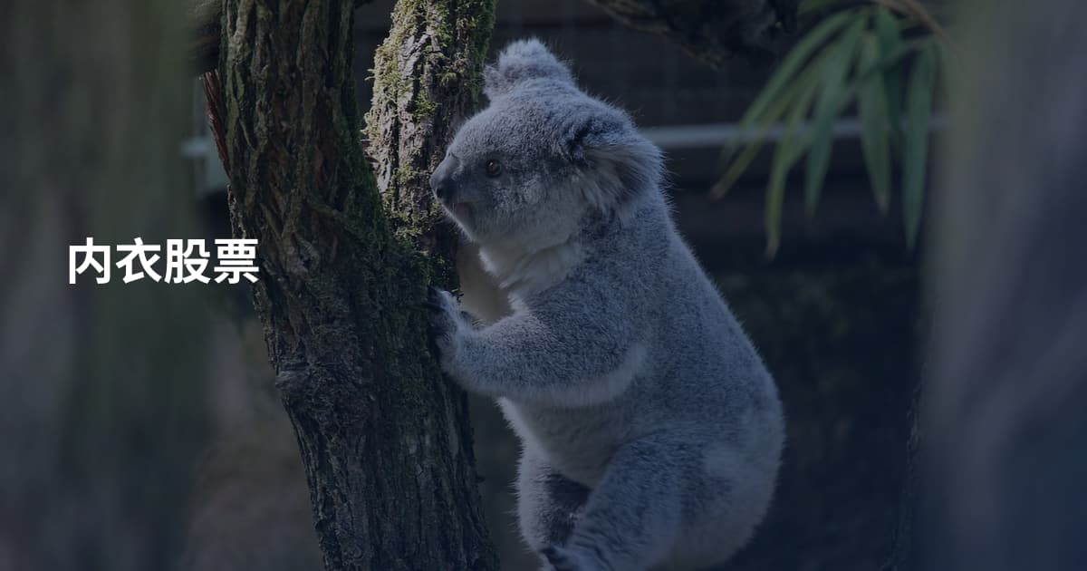 内衣股票
