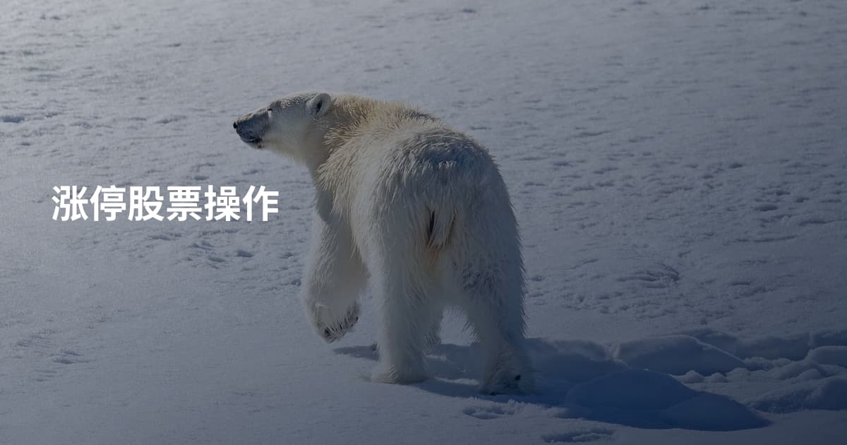 涨停股票操作