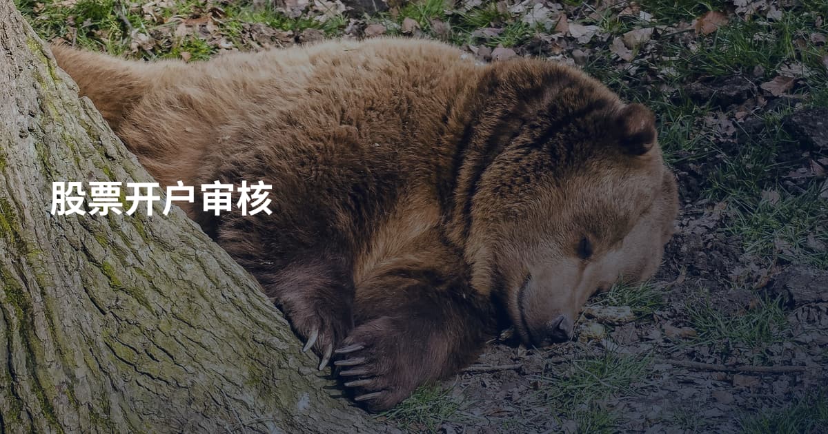 股票开户审核