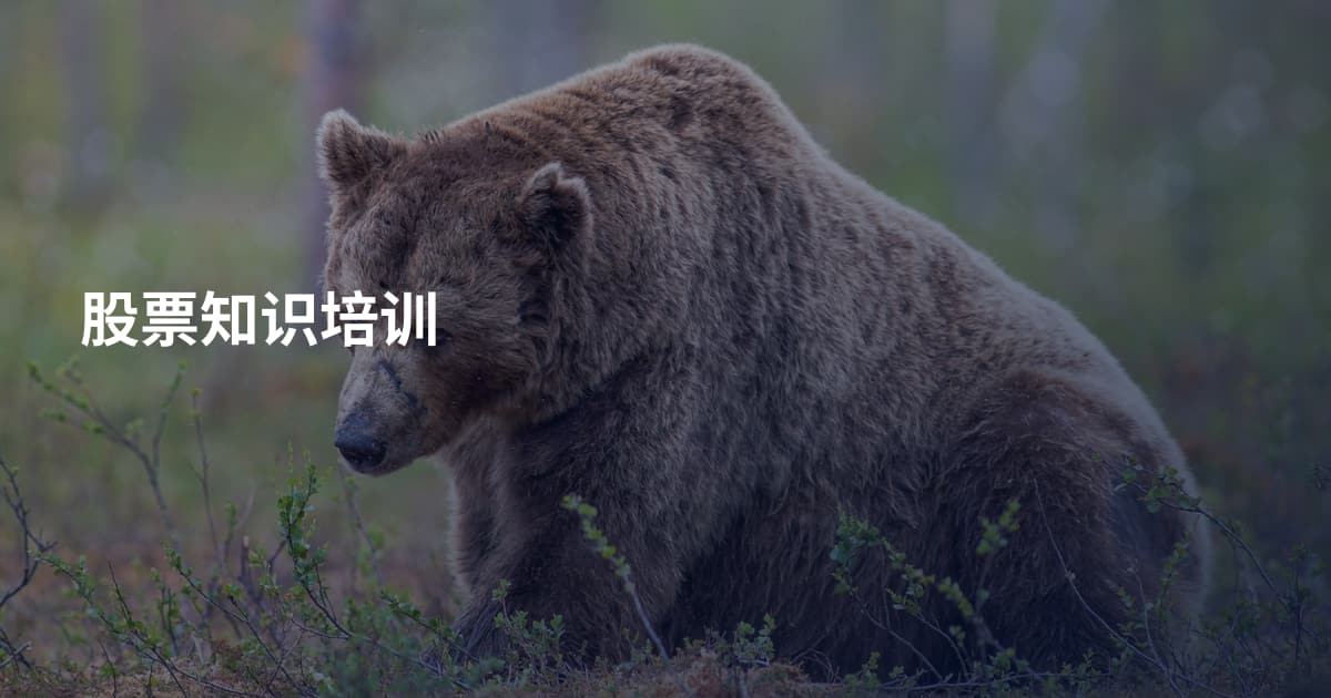 股票知识培训