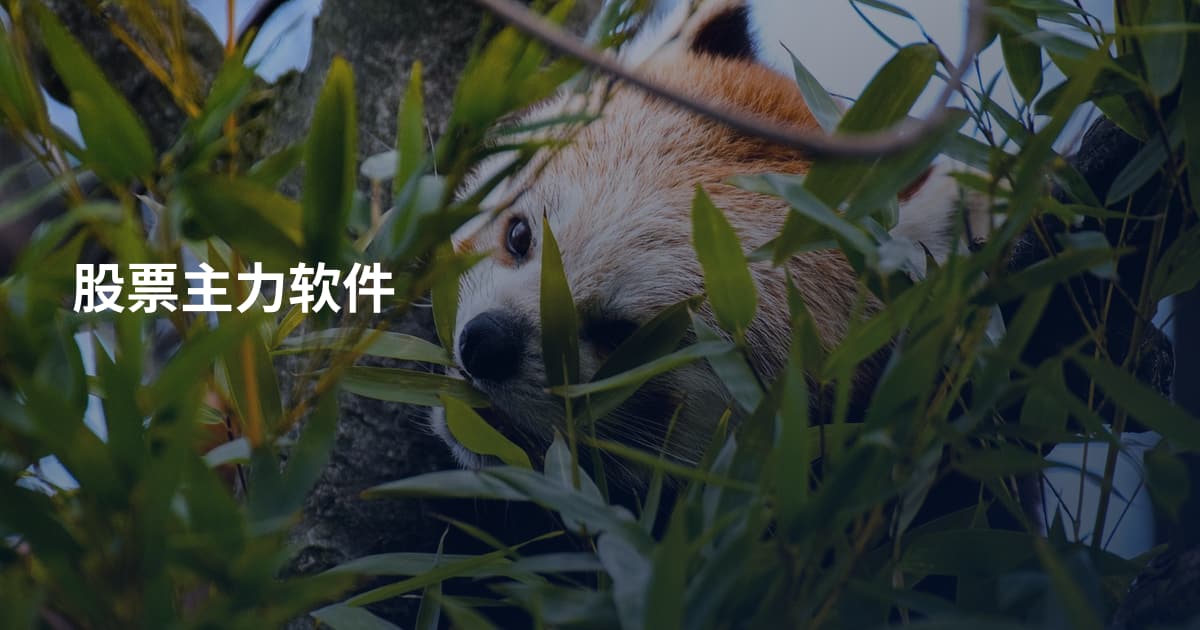 股票主力软件