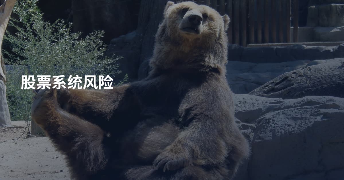股票系统风险