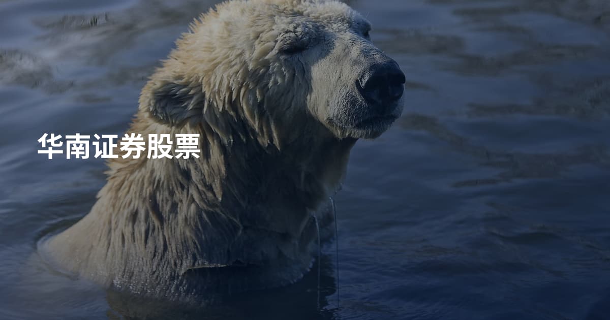 华南证券股票