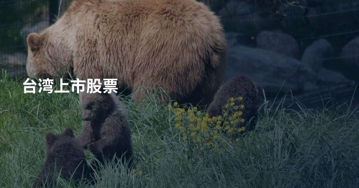 台湾上市股票