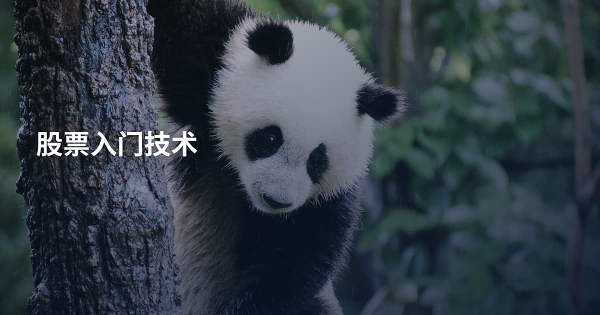 股票入门技术