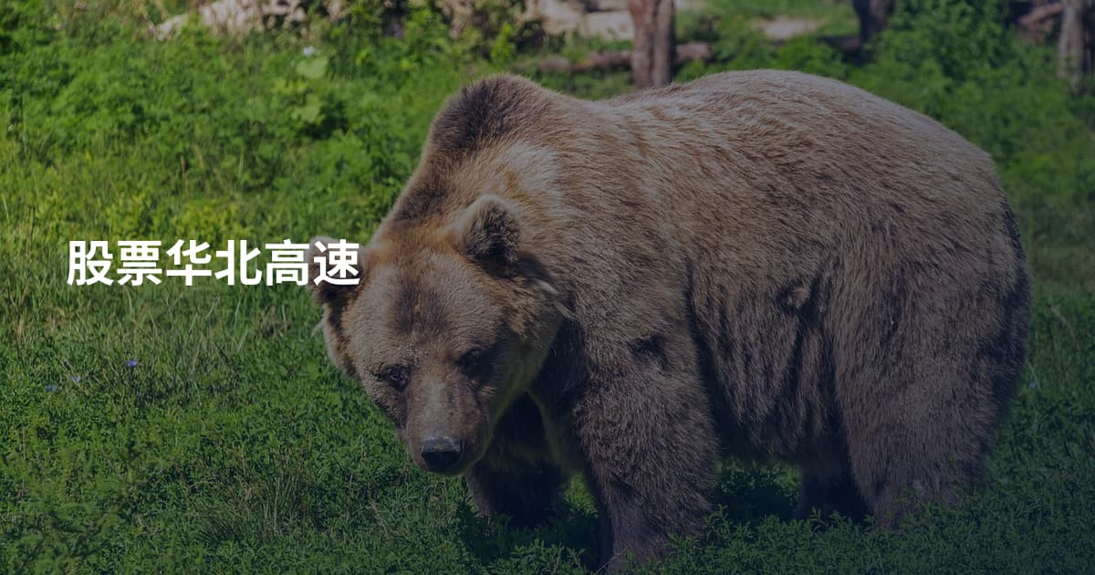 股票华北高速