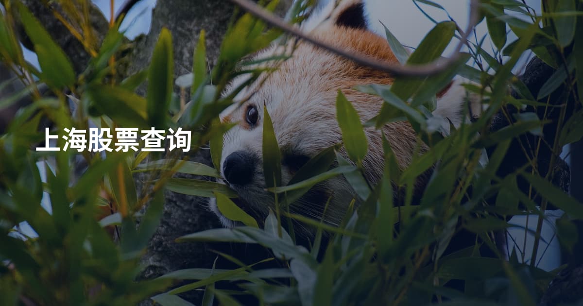 上海股票查询