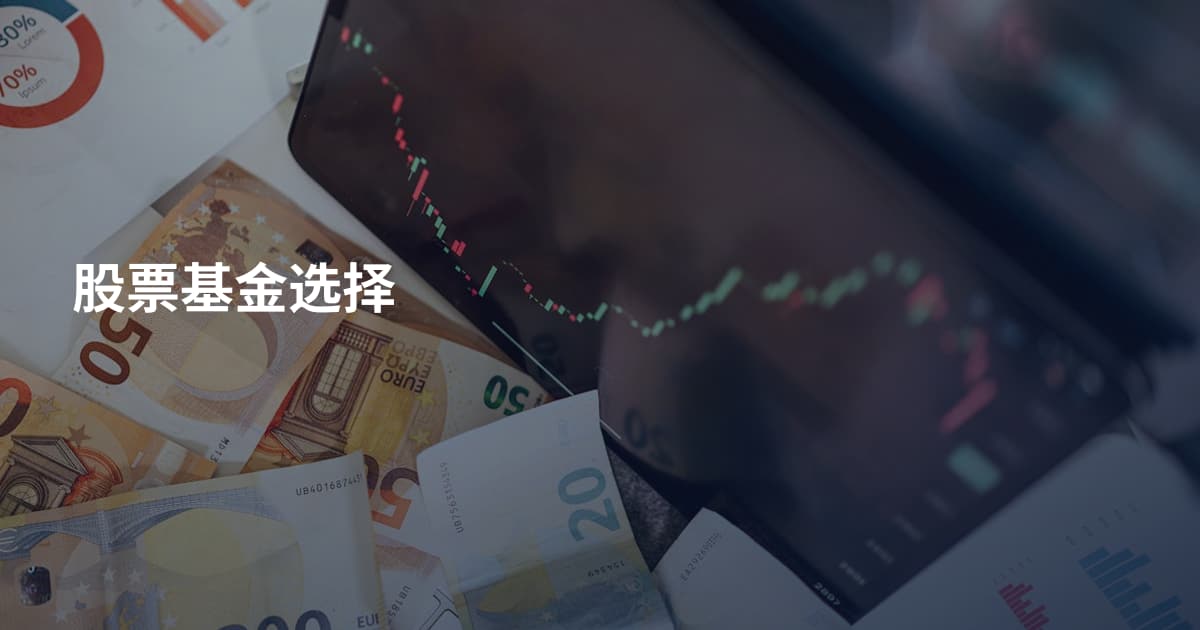 股票基金选择