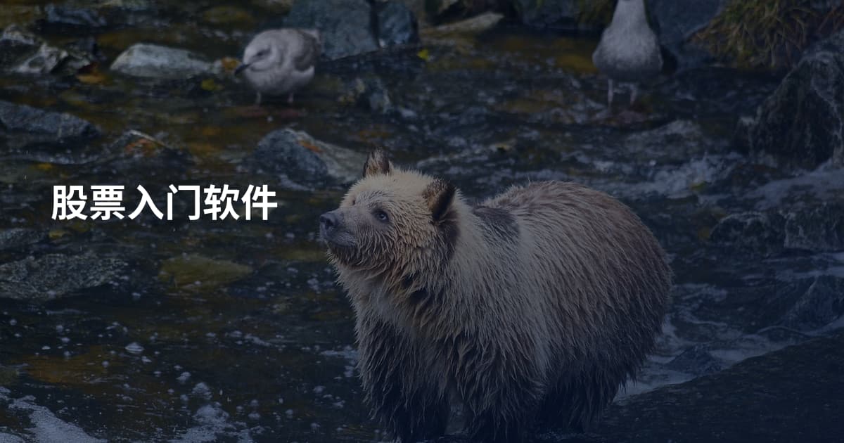 股票入门软件