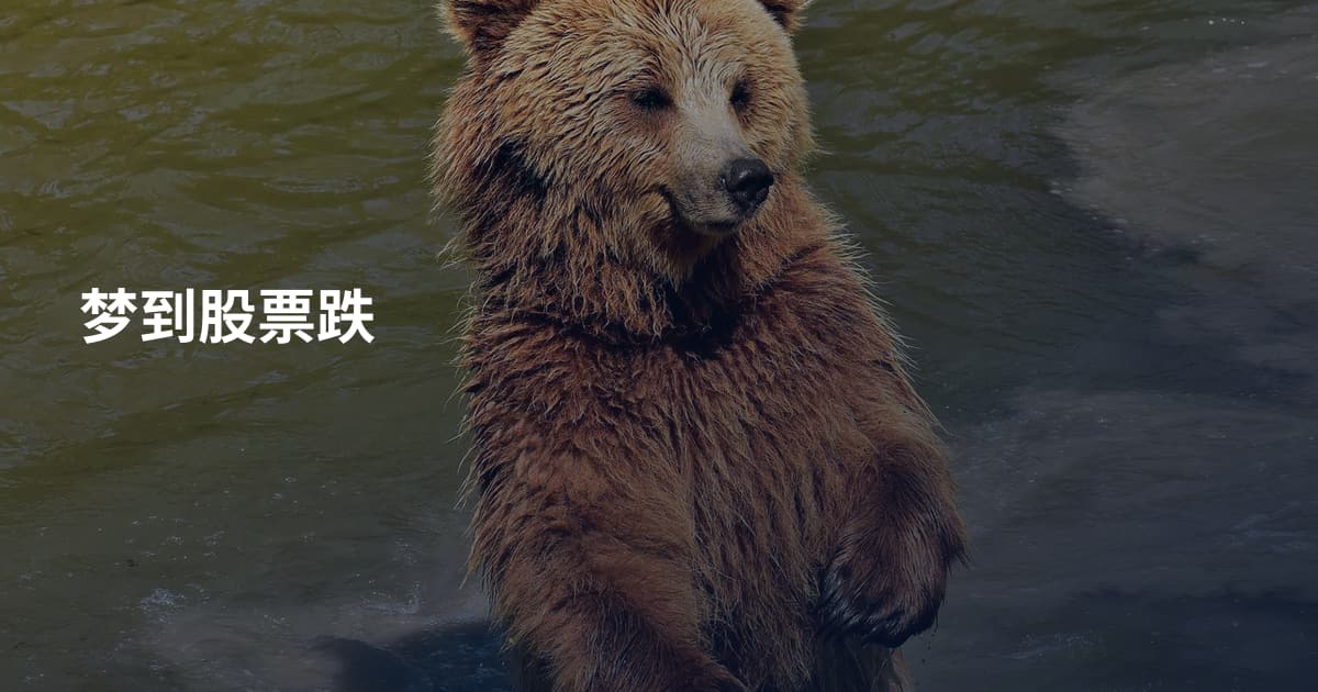 梦到股票跌