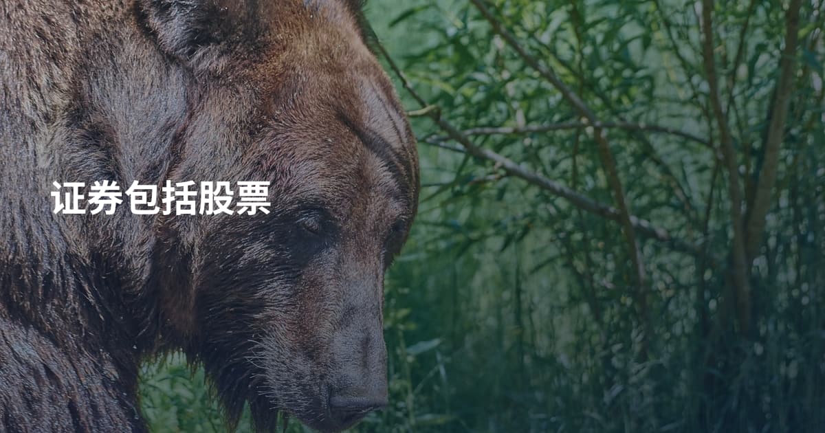 证券包括股票