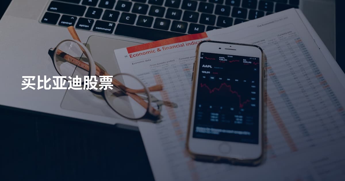 买比亚迪股票