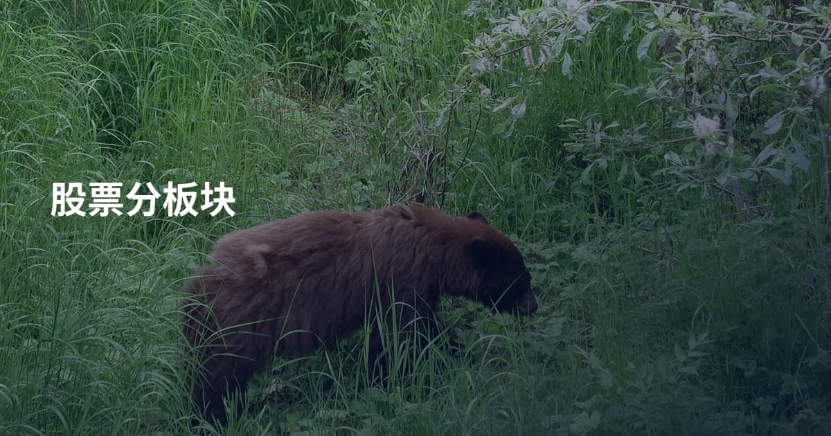 股票分板块
