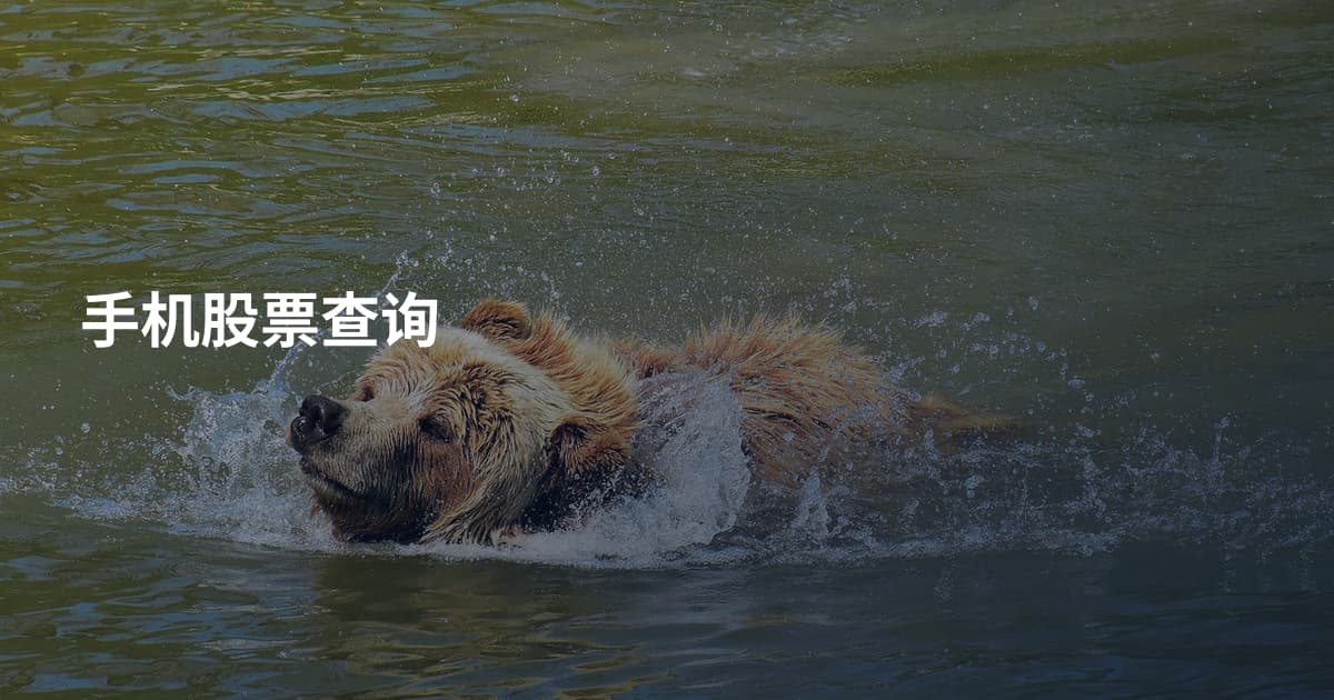 手机股票查询
