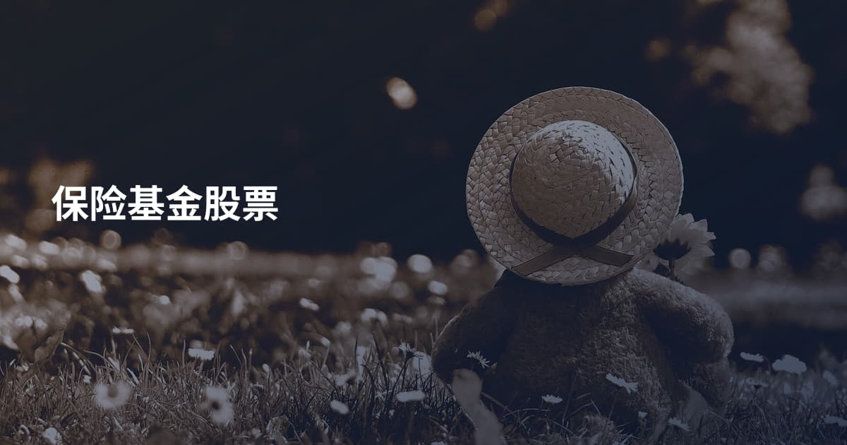 保险基金股票