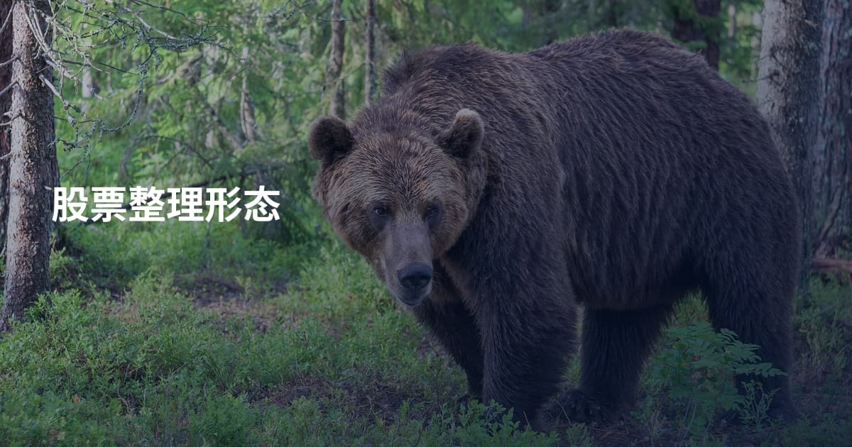 股票整理形态