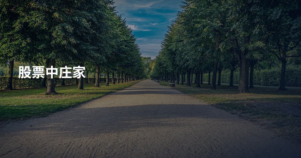 股票中庄家
