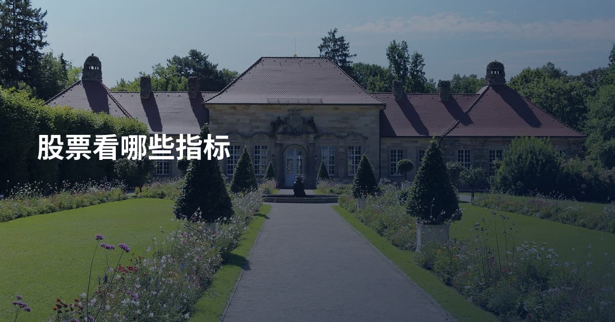 股票看哪些指标
