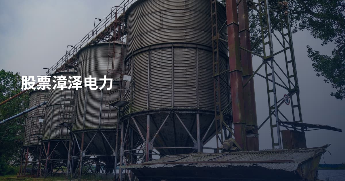 股票漳泽电力